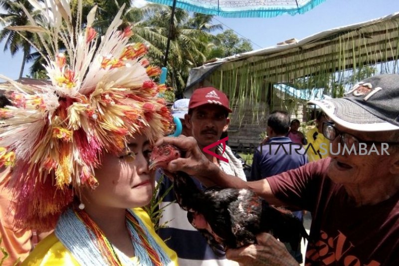 TRADISI PENYAMBUTAN KELUARGA BARU MENTAWAI