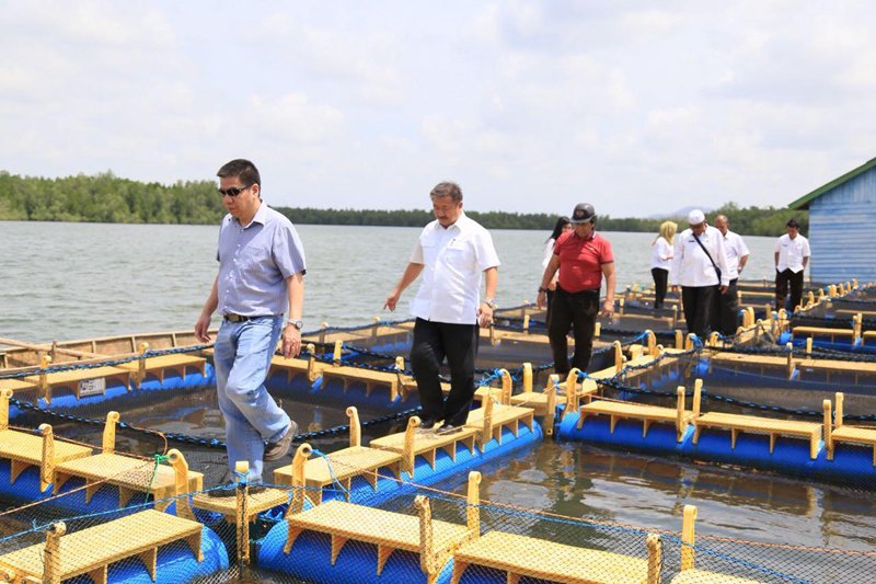 Kerambah bantuan pusat dan provinsi