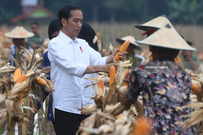 Presiden Jokowi yakin Kadin mampu dampingi dua juta petani swadaya di 2023