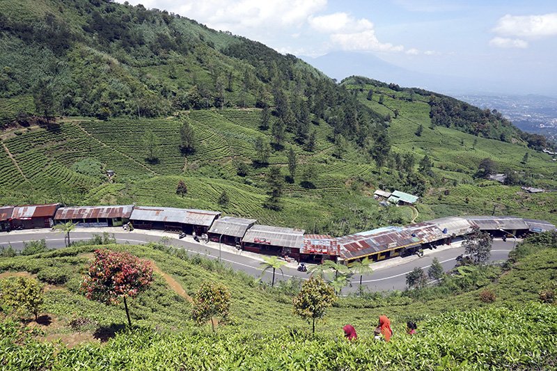 Pemkab Cianjur tinjau ulang izin bangunan di Puncak