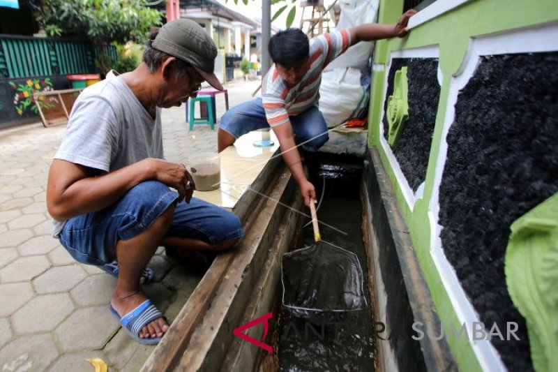 BUDIDAYA LELE ANTISIPASI WABAH DBD