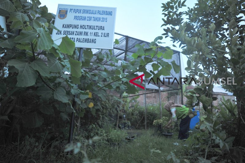 Kampung Holtikultura Mitra Bina Lingkungan Pusri