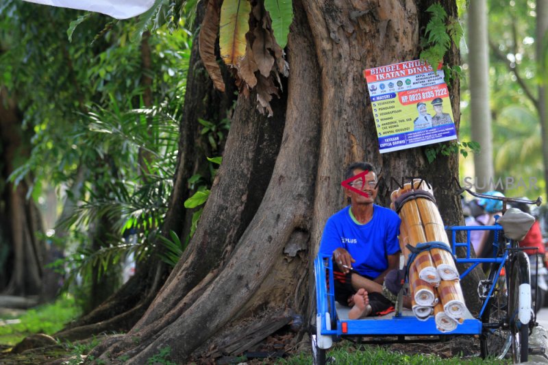 PEMASANGAN IKLAN DI POHON PEINDUNG