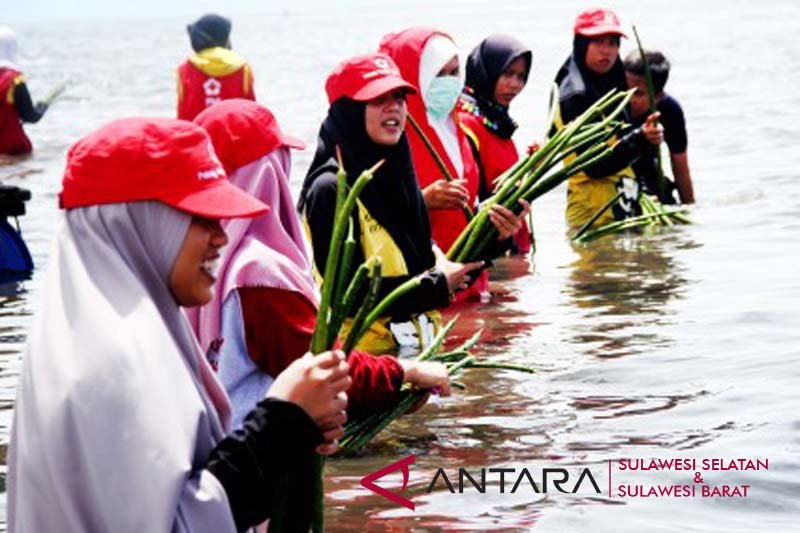 Penanaman pohon mangrove