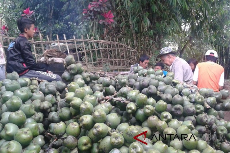 Kampung  kolang-kaling itu bergeliat tiap Ramadhan