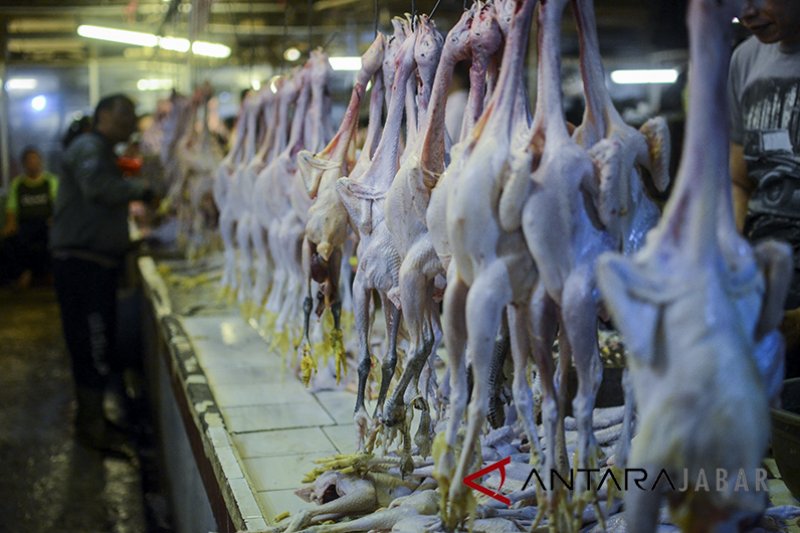 Pemkot Bandung mulai distribusikan daging ayam beku