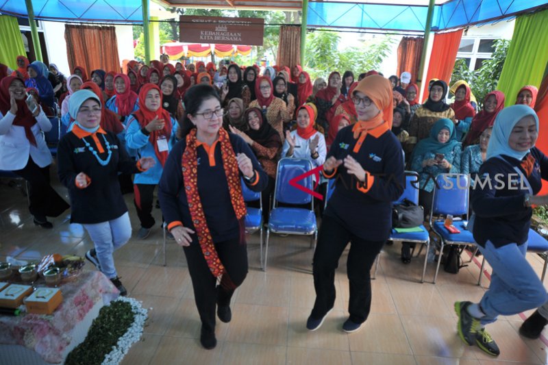 Menkes Nila Moeloek rayakan hari Lansia di Palembang