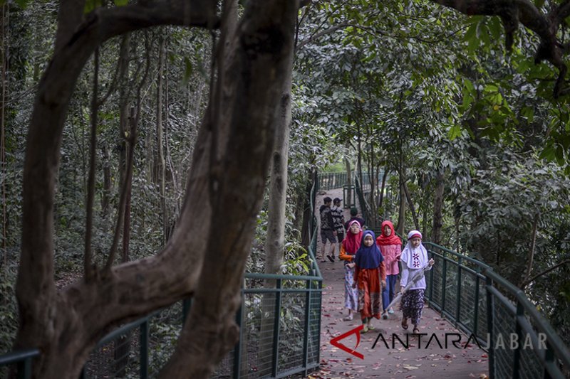 Plh Wali Kota minta aparat kewilayahan di Bandung gelorakan penghijauan