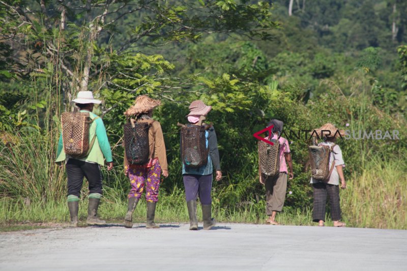 KHAS O'OREK MENTAWAI