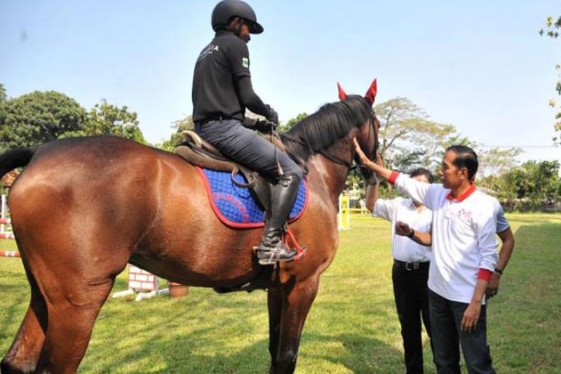 Presiden kunjungi atlet pelatnas berkuda Asian Games