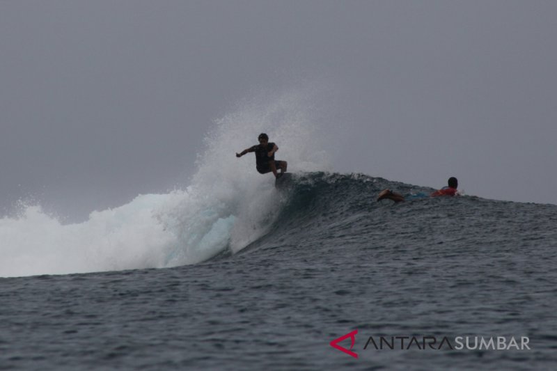 OMBAK BESAR MENTAWAI