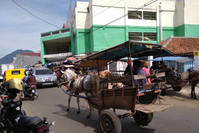 Delman kembali beroperasi di Jalan Raya Garut