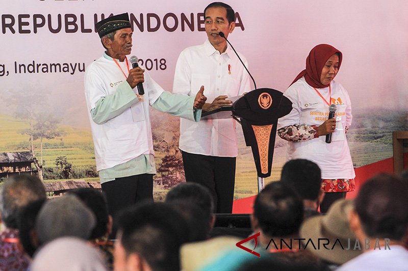 Petani Indramayu sambut program Presiden terkait pertanian