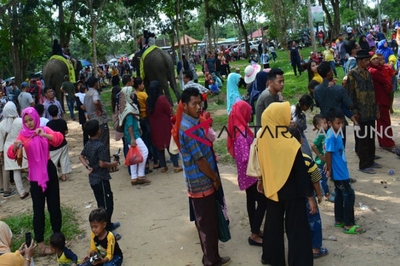 Way Kambas perlu jaringan internet gratis