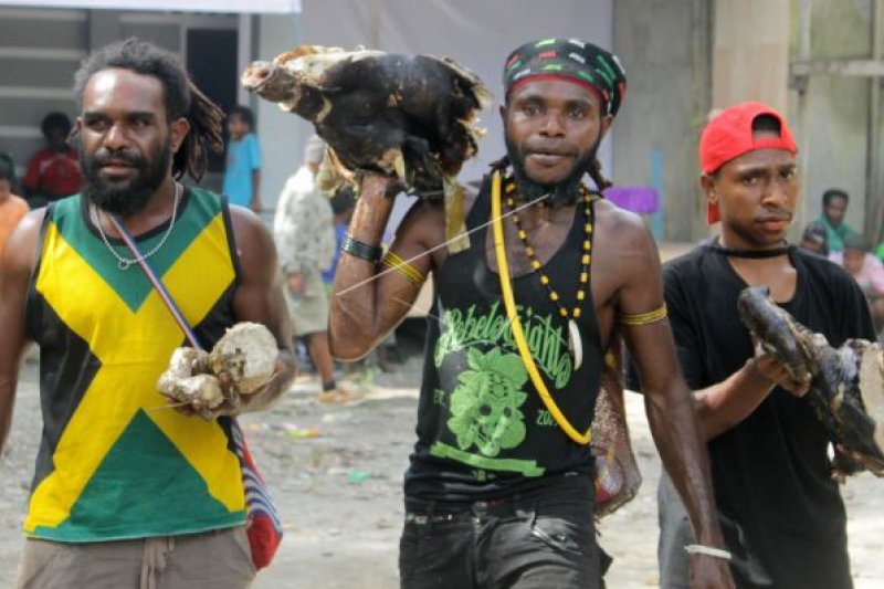 Pemuda Papua siap Bakar Batu