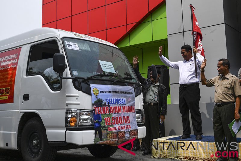 Operasi pasar telur ayam