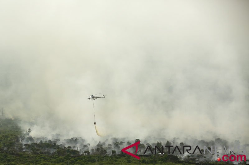 Kebakaran lahan di Muara Medak