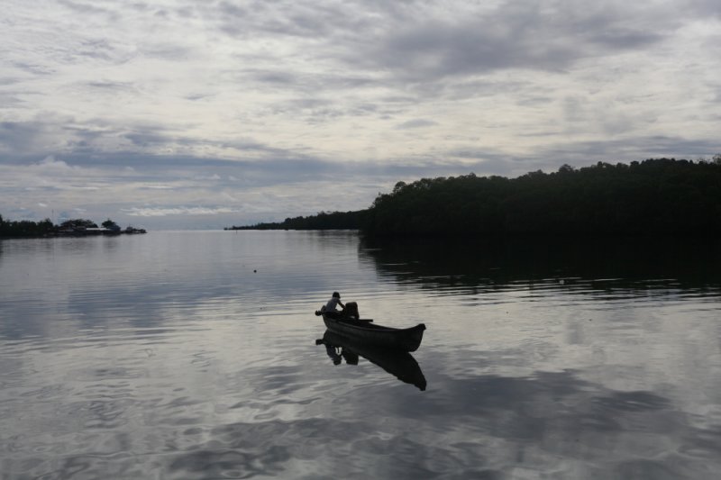 IKAN BAKAU