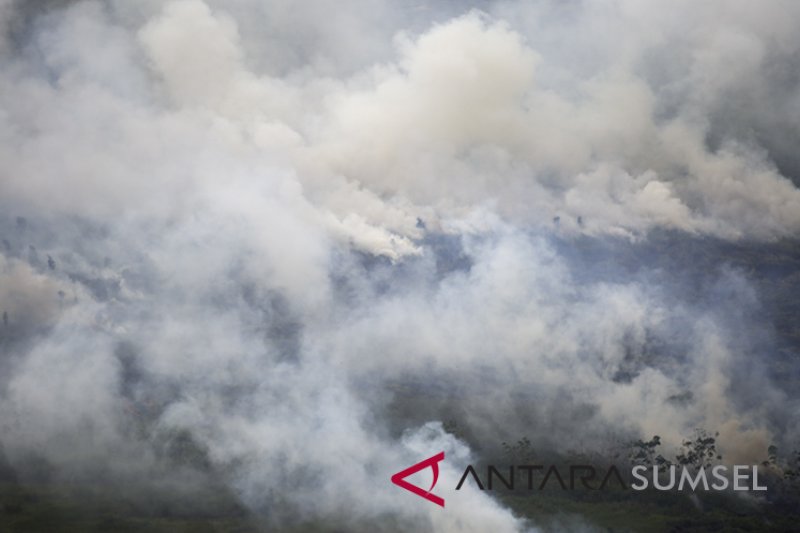 Kebakaran Lahan Di Pedamaran Timur