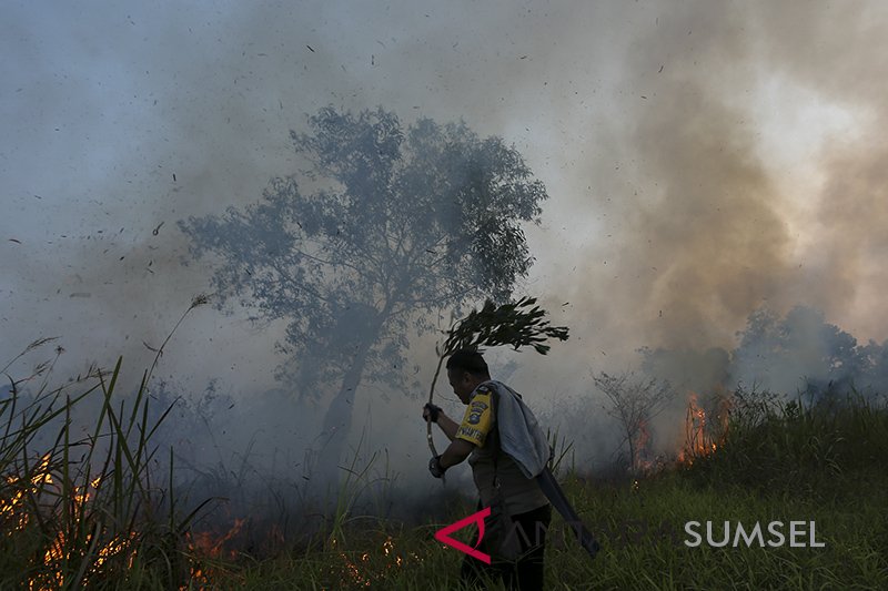 Kebakaran Lahan Di Pemulutan