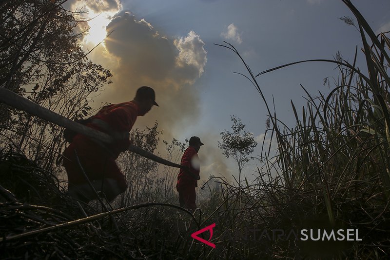 Kebakaran Lahan Di Pulau Semambu