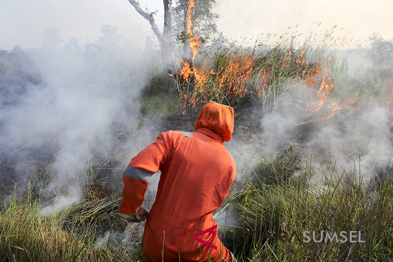 Kebakaran Lahan Di Pulau Semambu