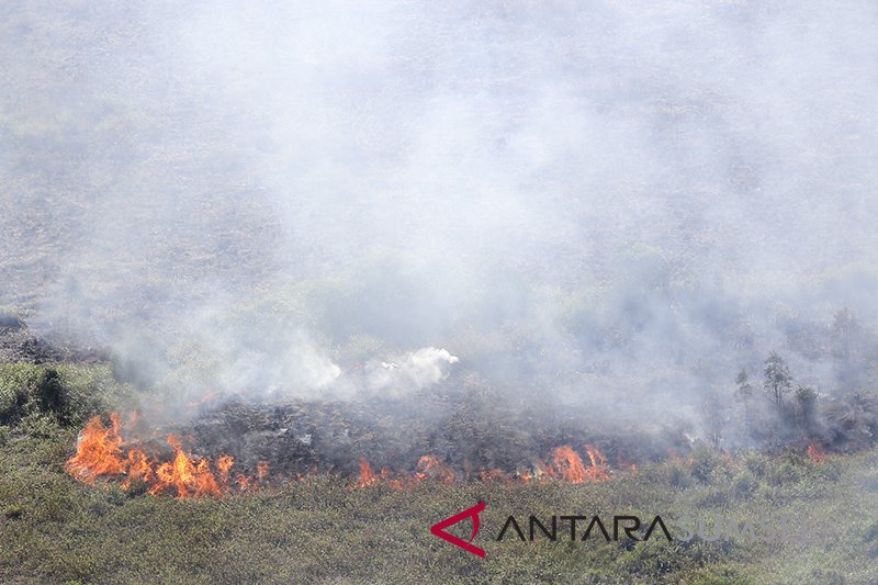 Kebakaran Lahan DI Tulung Selapan