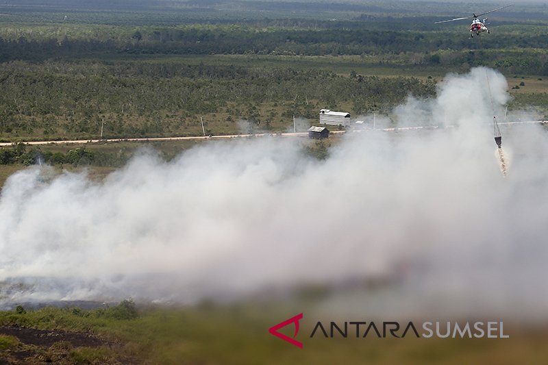 Kebakaran Lahan DI Tulung Selapan