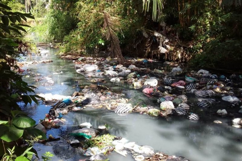 Sungai Sungai Di Pesisir Trenggalek Rusak Tercemar Limbah Pindang Antara News Jawa Timur