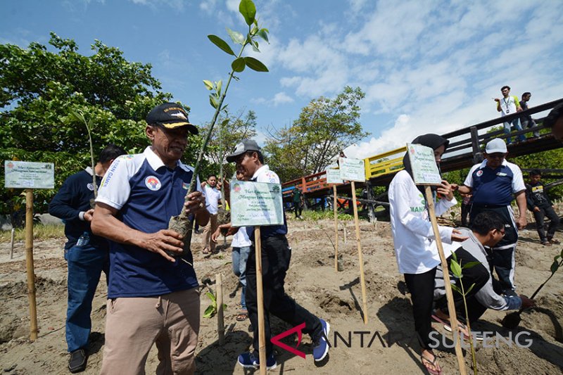 TANAM MANGROVE DI PALU PERINGATI HARI MANGROVE INTERNASIONAL