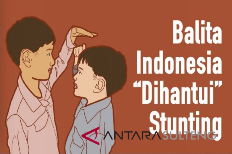Upaya Sulteng lindungi tumbuh kembang anak dari stunting
