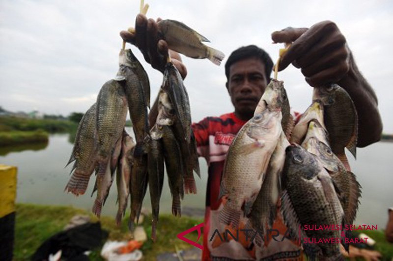 Habitat ikan air tawar