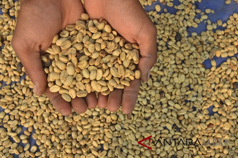 Diskoperindag Cianjur dukung terbentuknya koperasi petani kopi