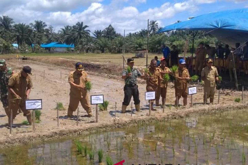 Jaga Ketahanan Pangan, Pasaman Barat Cetak Sawah Baru 98 Hektare ...