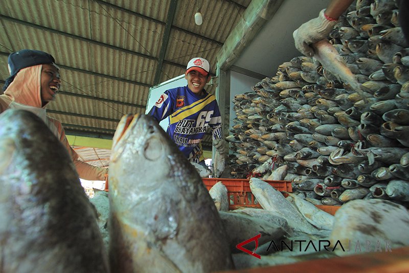 Produksi ikan di Indramayu 25,9 ribu ton