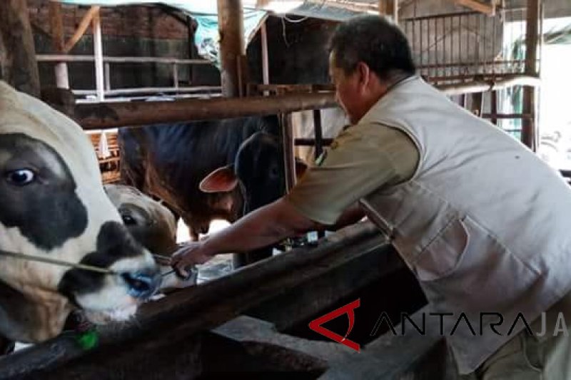 Dinas Peternakan Indramayu inspeksi penjualan hewan kurban