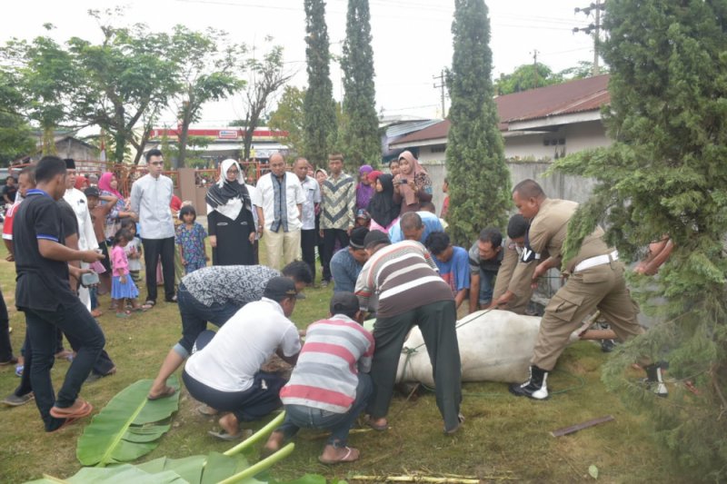 Ribuan warga antre daging kurban di Masjid Raya Bandung