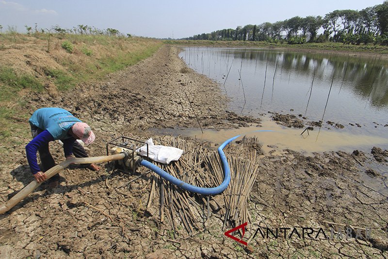 Petani di Garut beralih profesi akibat kemarau