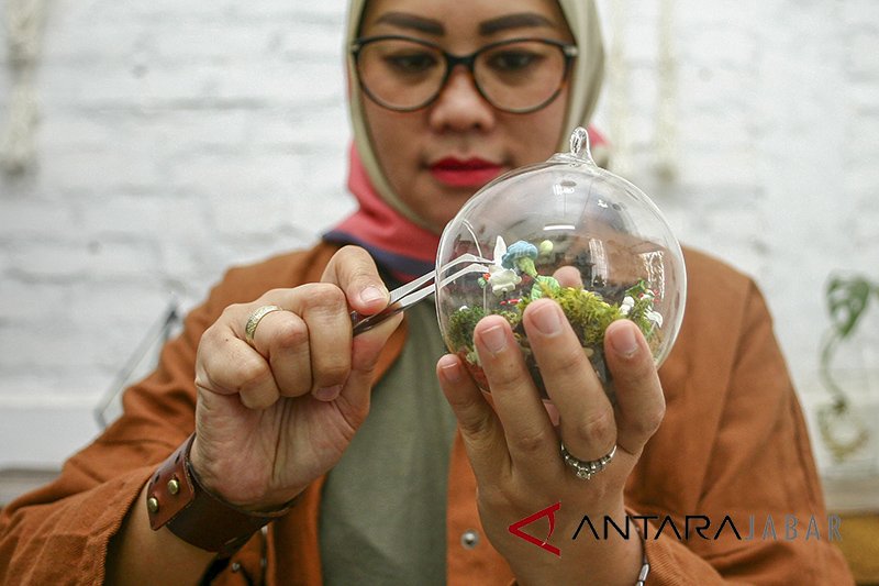 Kerajinan tanaman Terrarium