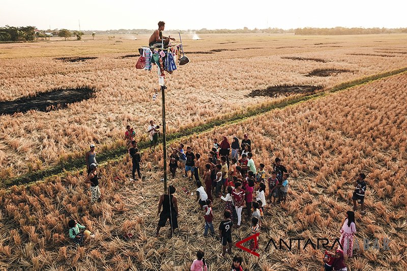 Panjat pinang kampung nelayan