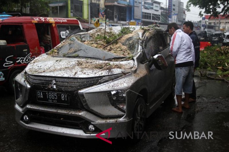 POHON TIMPA MOBIL DI PADANG