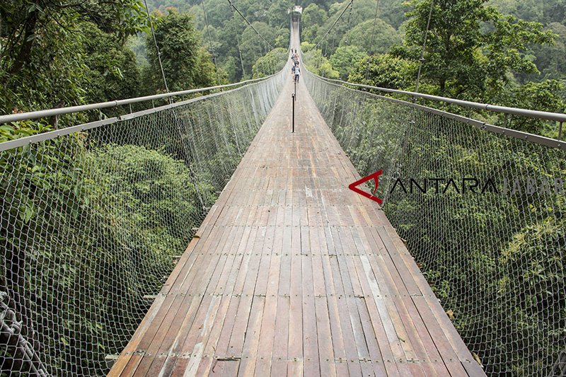 Jembatan gantung Situ Gunung