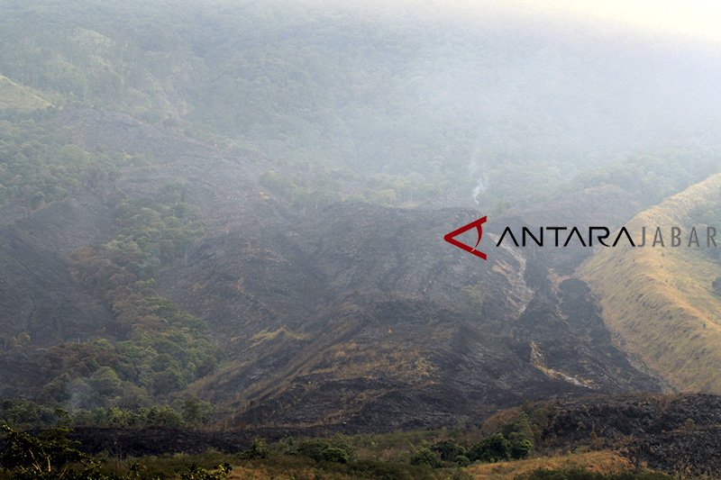 Kebakaran hutan gunung Ciremai