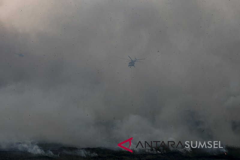 Lahan Di Rambutan Terbakar