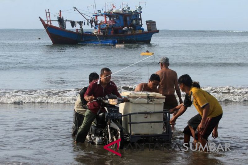 BONGKAR MUAT IKAN DI PERAIRAN