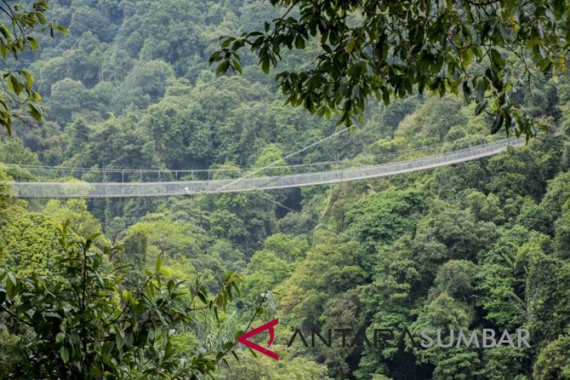 JEMBATAN GANTUNG SITU GUNUNG