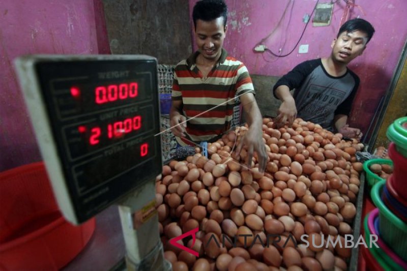 KENAIKAN HARGA ACUAN TELUR AYAM