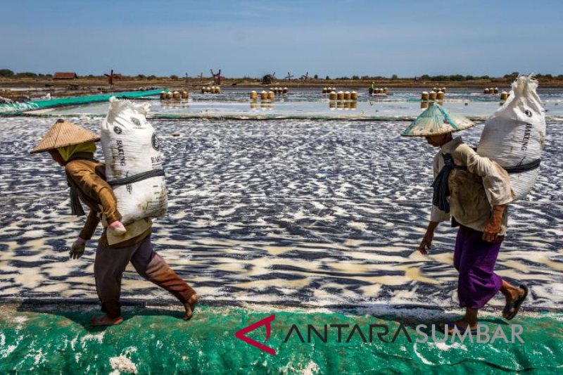 PRODUKSI GARAM NASIONAL MENINGKAT