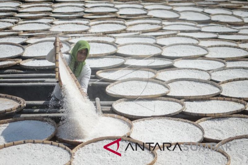 PRODUKSI TEPUNG TAPIOKA MENURUN