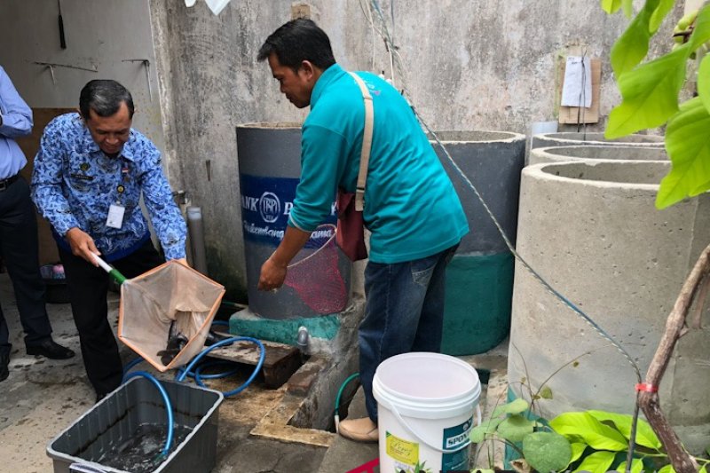 Warga Winongo Yogyakarta panen lele cendol